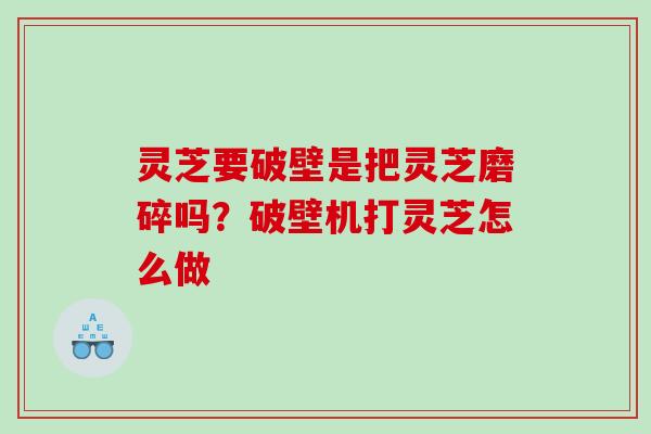 灵芝要破壁是把灵芝磨碎吗？破壁机打灵芝怎么做