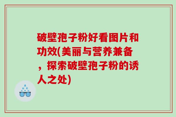 破壁孢子粉好看图片和功效(美丽与营养兼备，探索破壁孢子粉的诱人之处)