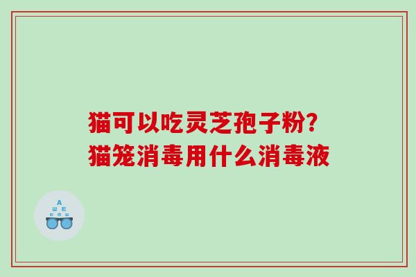猫可以吃灵芝孢子粉？猫笼消毒用什么消毒液