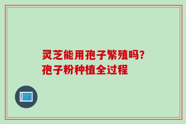 灵芝能用孢子繁殖吗？孢子粉种植全过程
