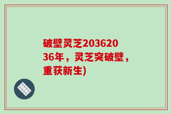 破壁灵芝20362036年，灵芝突破壁，重获新生)