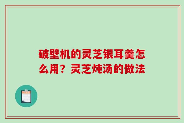 破壁机的灵芝银耳羹怎么用？灵芝炖汤的做法