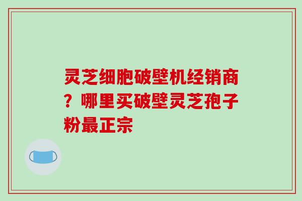 灵芝细胞破壁机经销商？哪里买破壁灵芝孢子粉最正宗
