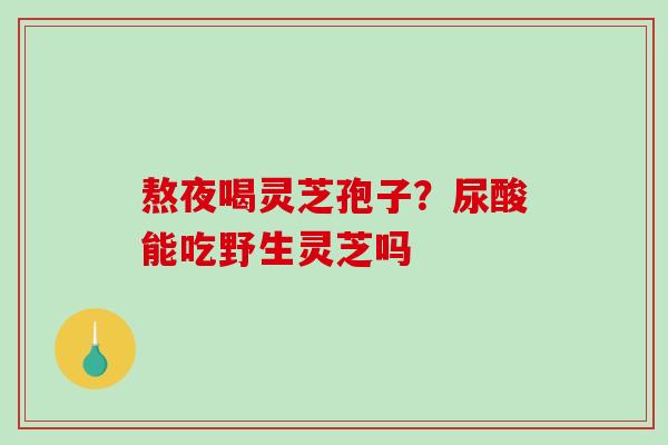 熬夜喝灵芝孢子？尿酸能吃野生灵芝吗