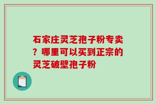 石家庄灵芝孢子粉专卖？哪里可以买到正宗的灵芝破壁孢子粉
