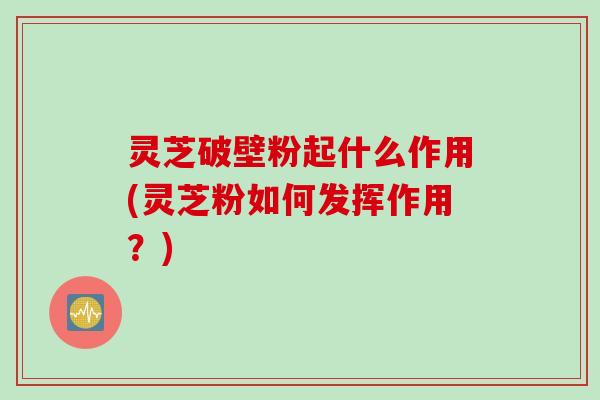 灵芝破壁粉起什么作用(灵芝粉如何发挥作用？)