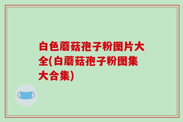 白色蘑菇孢子粉图片大全(白蘑菇孢子粉图集大合集)