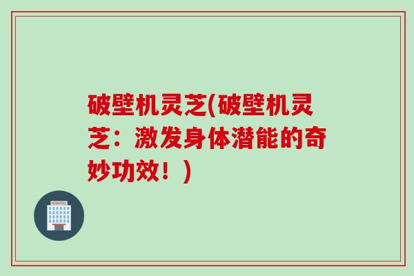 破壁机灵芝(破壁机灵芝：激发身体潜能的奇妙功效！)