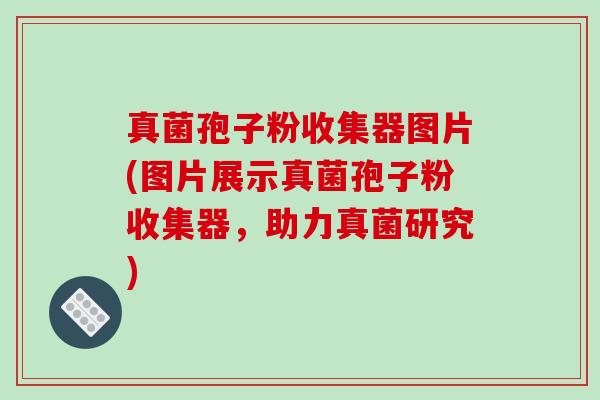 真菌孢子粉收集器图片(图片展示真菌孢子粉收集器，助力真菌研究)