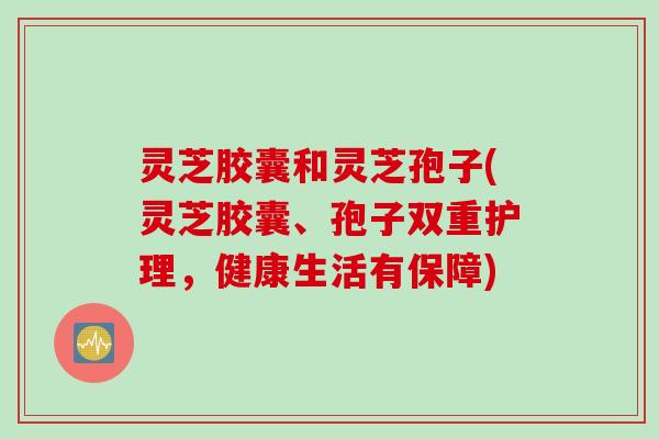 灵芝胶囊和灵芝孢子(灵芝胶囊、孢子双重护理，健康生活有保障)