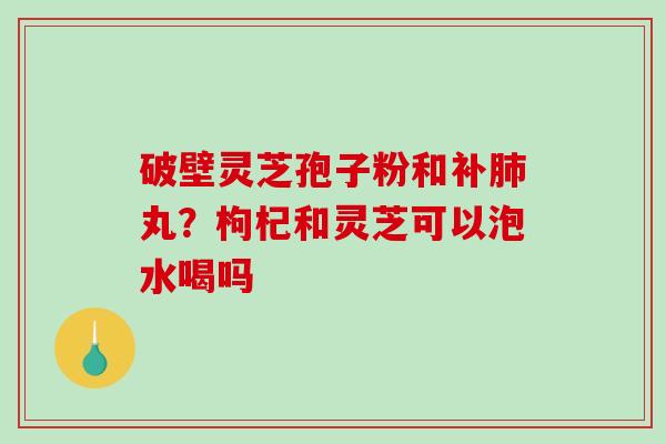 破壁灵芝孢子粉和补肺丸？枸杞和灵芝可以泡水喝吗