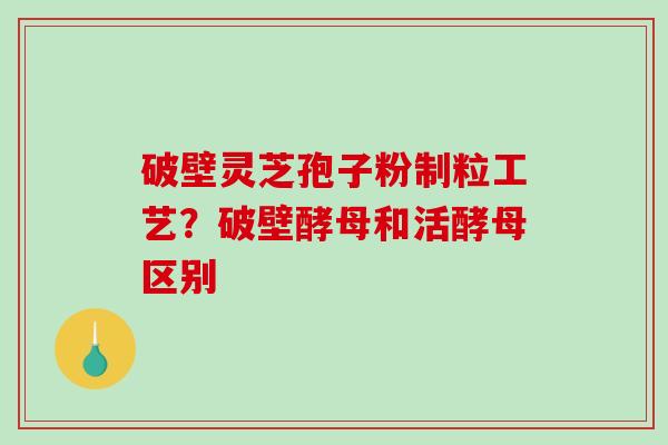 破壁灵芝孢子粉制粒工艺？破壁酵母和活酵母区别