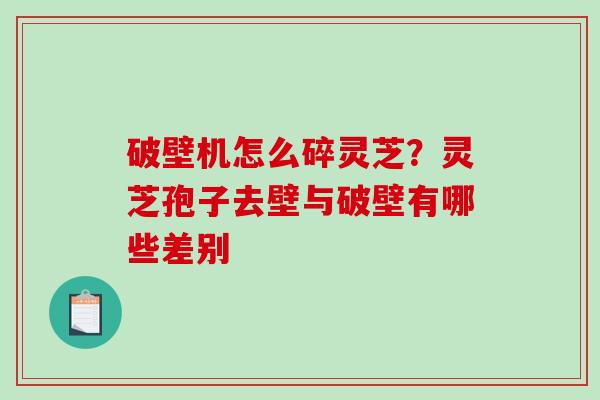 破壁机怎么碎灵芝？灵芝孢子去壁与破壁有哪些差别
