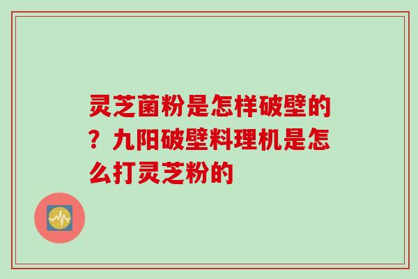 灵芝菌粉是怎样破壁的？九阳破壁料理机是怎么打灵芝粉的
