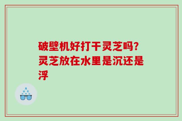 破壁机好打干灵芝吗？灵芝放在水里是沉还是浮