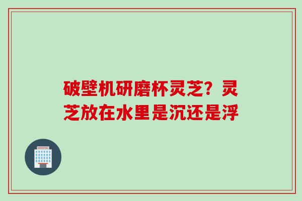 破壁机研磨杯灵芝？灵芝放在水里是沉还是浮