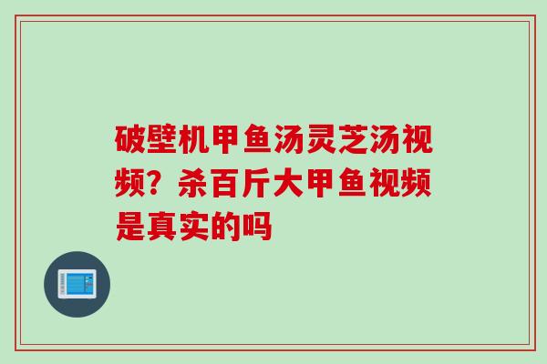 破壁机甲鱼汤灵芝汤视频？杀百斤大甲鱼视频是真实的吗