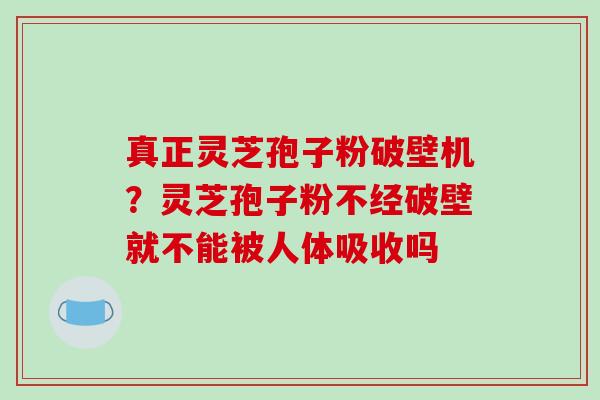 真正灵芝孢子粉破壁机？灵芝孢子粉不经破壁就不能被人体吸收吗