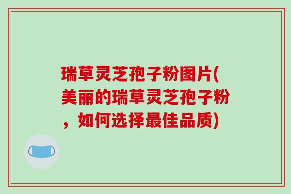 瑞草灵芝孢子粉图片(美丽的瑞草灵芝孢子粉，如何选择最佳品质)