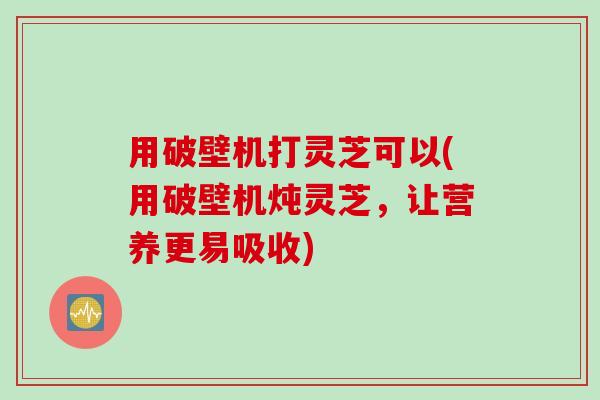 用破壁机打灵芝可以(用破壁机炖灵芝，让营养更易吸收)