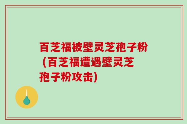 百芝福被壁灵芝孢子粉 (百芝福遭遇壁灵芝孢子粉攻击)