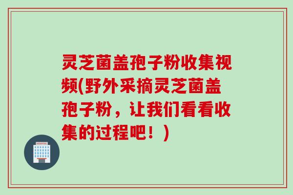 灵芝菌盖孢子粉收集视频(野外采摘灵芝菌盖孢子粉，让我们看看收集的过程吧！)