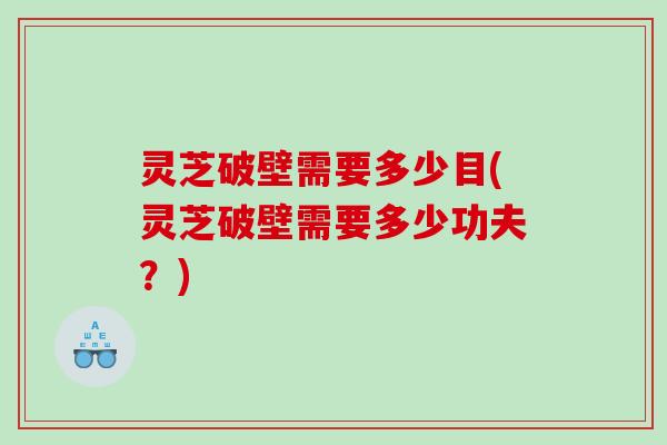 灵芝破壁需要多少目(灵芝破壁需要多少功夫？)