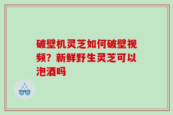 破壁机灵芝如何破壁视频？新鲜野生灵芝可以泡酒吗