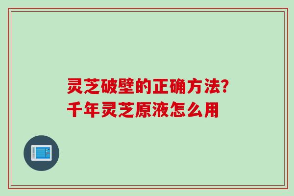 灵芝破壁的正确方法？千年灵芝原液怎么用
