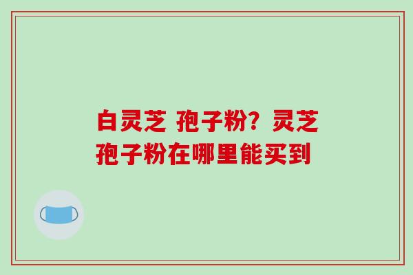 白灵芝 孢子粉？灵芝孢子粉在哪里能买到