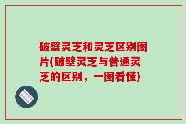 破壁灵芝和灵芝区别图片(破壁灵芝与普通灵芝的区别，一图看懂)