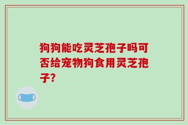 狗狗能吃灵芝孢子吗可否给宠物狗食用灵芝孢子？
