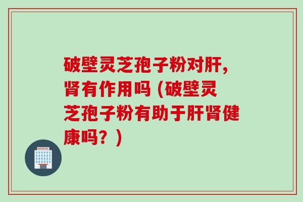 破壁灵芝孢子粉对肝,肾有作用吗 (破壁灵芝孢子粉有助于肝肾健康吗？)