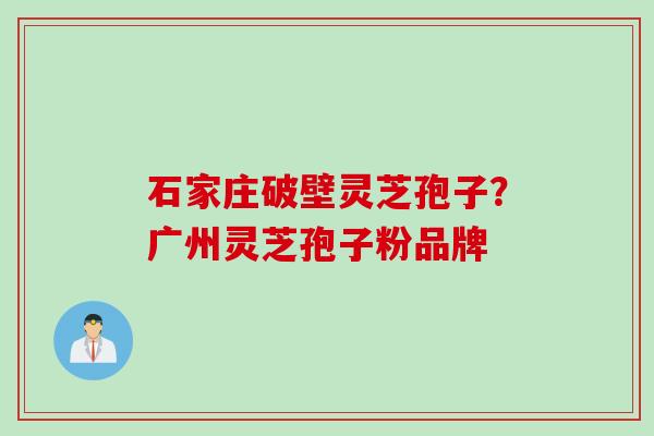石家庄破壁灵芝孢子？广州灵芝孢子粉品牌