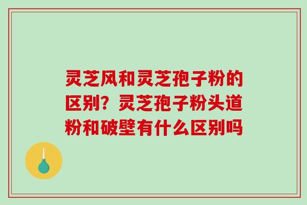 灵芝风和灵芝孢子粉的区别？灵芝孢子粉头道粉和破壁有什么区别吗
