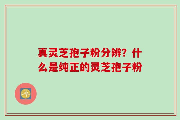 真灵芝孢子粉分辨？什么是纯正的灵芝孢子粉