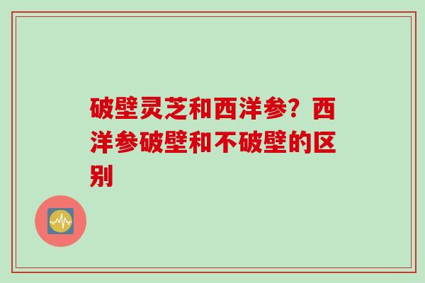 破壁灵芝和西洋参？西洋参破壁和不破壁的区别