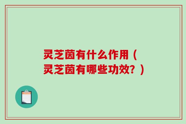 灵芝茵有什么作用 (灵芝茵有哪些功效？)