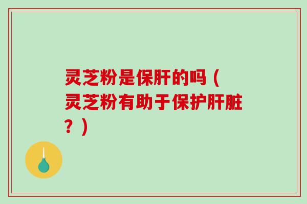 灵芝粉是保肝的吗 (灵芝粉有助于保护肝脏？)