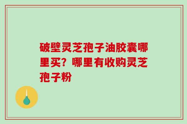 破壁灵芝孢子油胶囊哪里买？哪里有收购灵芝孢子粉