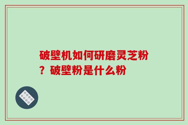 破壁机如何研磨灵芝粉？破壁粉是什么粉