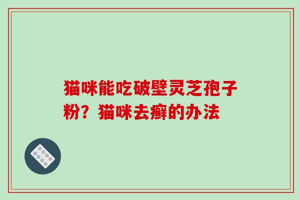 猫咪能吃破壁灵芝孢子粉？猫咪去癣的办法