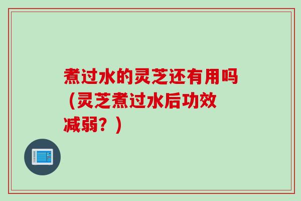 煮过水的灵芝还有用吗 (灵芝煮过水后功效减弱?) 煮过水的灵芝还有用吗 (灵芝煮过水后功效减弱?)