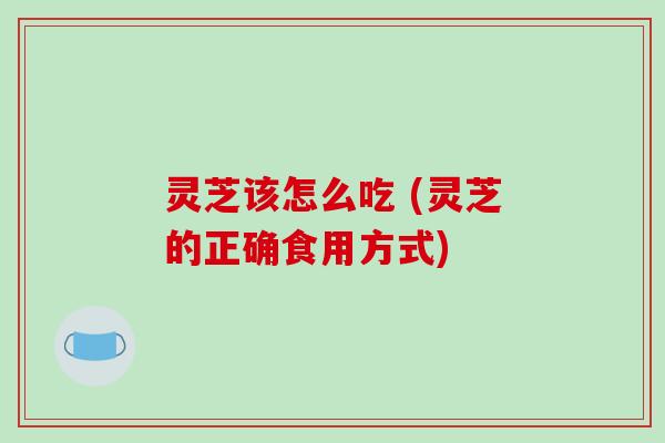 灵芝该怎么吃 (灵芝的正确食用方式)