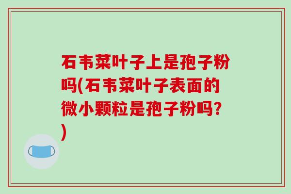 石韦菜叶子上是孢子粉吗(石韦菜叶子表面的微小颗粒是孢子粉吗？)