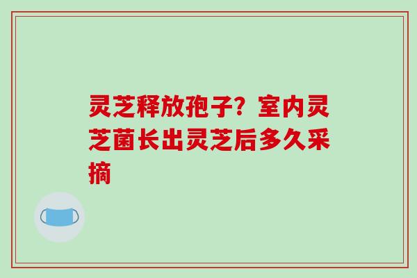 灵芝释放孢子？室内灵芝菌长出灵芝后多久采摘