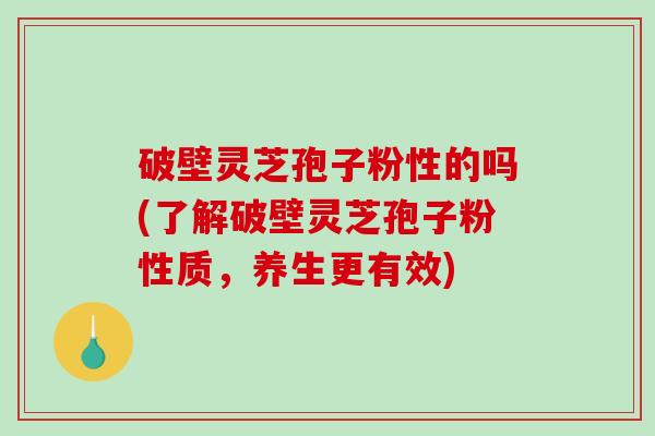 破壁灵芝孢子粉性的吗(了解破壁灵芝孢子粉性质，养生更有效)