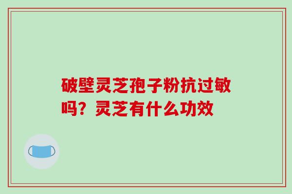 破壁灵芝孢子粉抗过敏吗？灵芝有什么功效