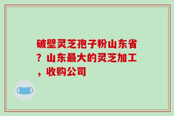 破壁灵芝孢子粉山东省？山东最大的灵芝加工，收购公司