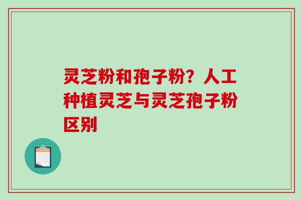 灵芝粉和孢子粉？人工种植灵芝与灵芝孢子粉区别